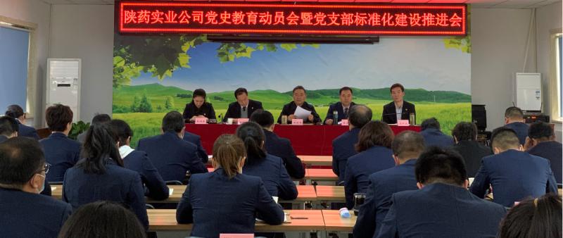 陜藥實業(yè)公司黨委召開黨史教育動員會暨黨支部標準化建設(shè)推進會